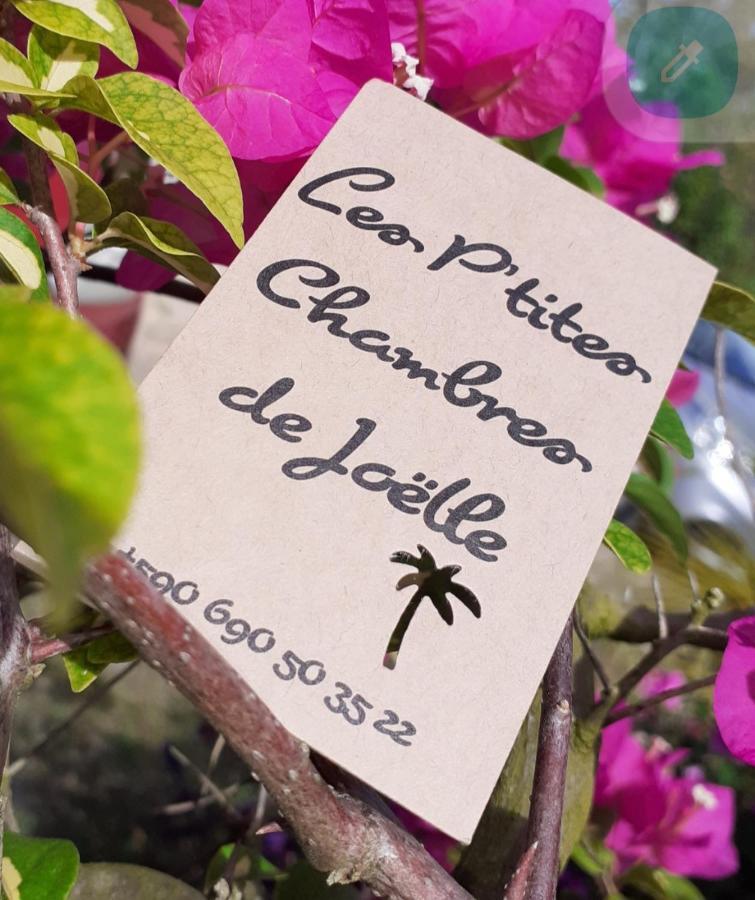 P'Tites Chambres Dans La Campagne De Marie Galante Grand-Bourg  외부 사진